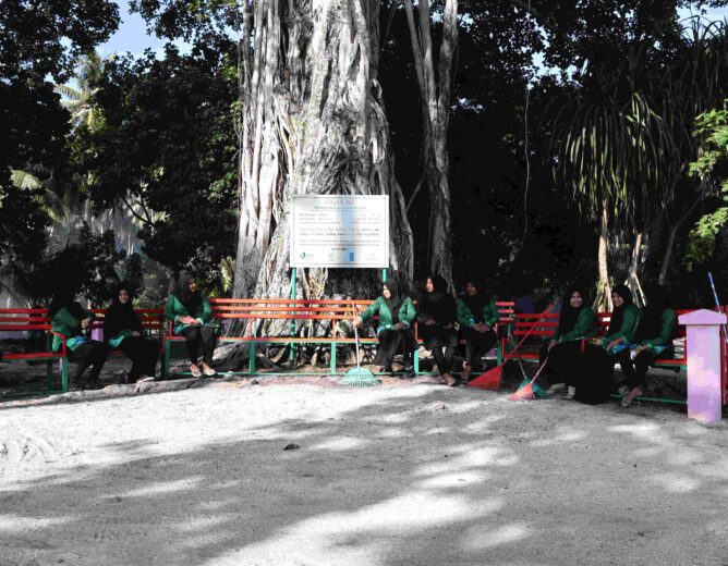 ބޮޑު ނިކަގަސް
